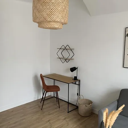 Cozy Studio Near The Jardin Des Plantes アパート ナント